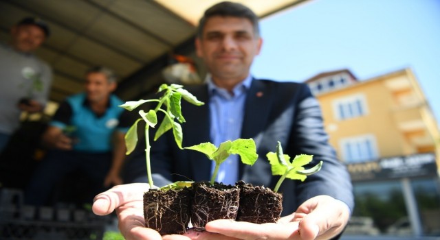 Kartepede 123 bin fide toprakla buluştu