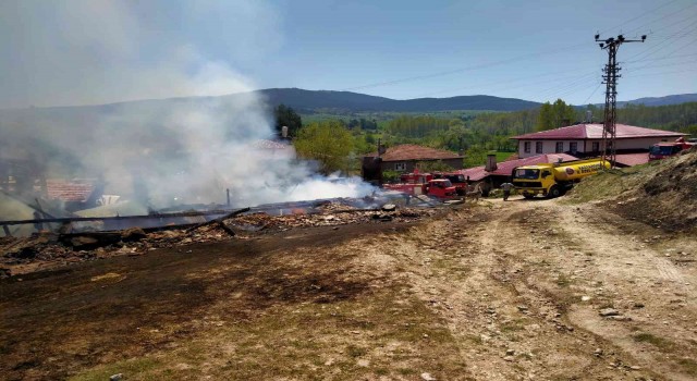 Kastamonuda iki ev ve samanlık alevlere teslim oldu