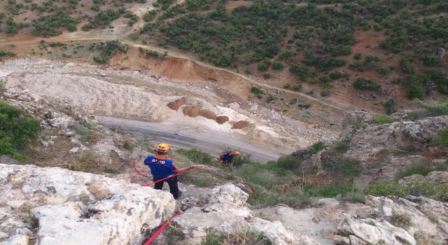 Kayalıklarda mahsur kalen keçiler kurtarıldı