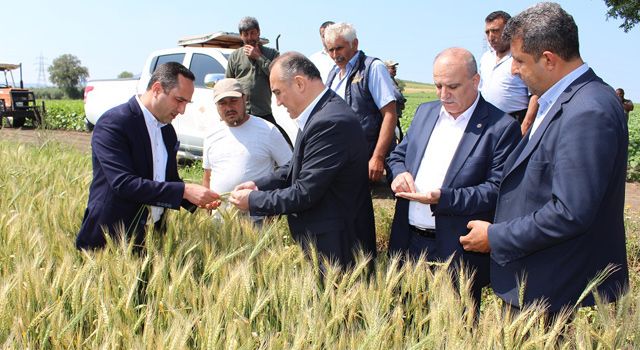 Kaymakam Turgay İlhan, çiftçileri ziyaret etti