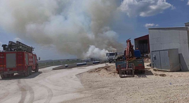 Keşandaki Biyokütle Enerji Santralinde korkutan yangın