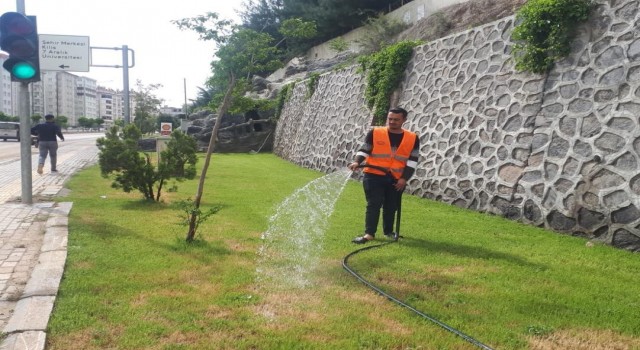 Kiliste parklar refüj ve bulvarların bakımları yapılıyor