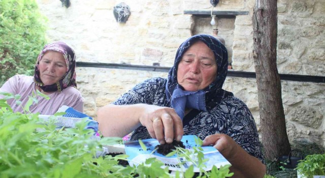 Kırklarelinde ata tohumdan üretilen fideler dağıtıldı