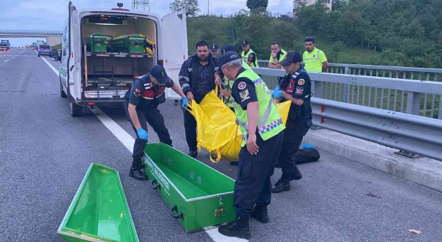 Kocaelide feci kaza: Arızalanan tırdan indi, başka bir tırın çarpması sonucu öldü