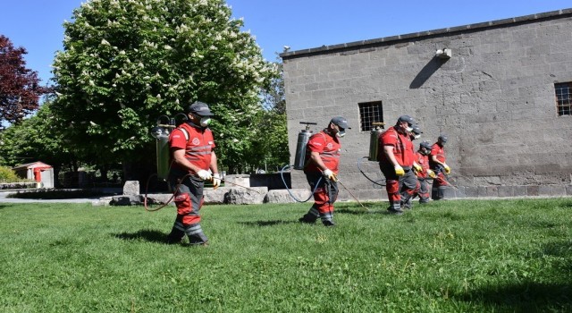 Kocasinandan huzurlu bir yaz için haşere ile mücadele