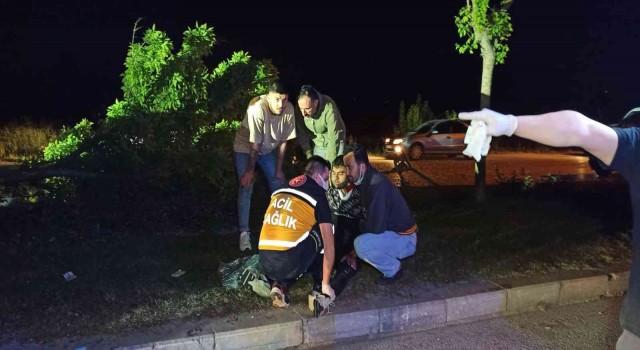 Kontrolden çıkan otomobil ağaç ve direği devirerek durabildi: 1i ağır 5 yaralı