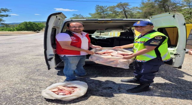 KÖYCEĞİZDE 300 kilo kaçak et ele geçirildi