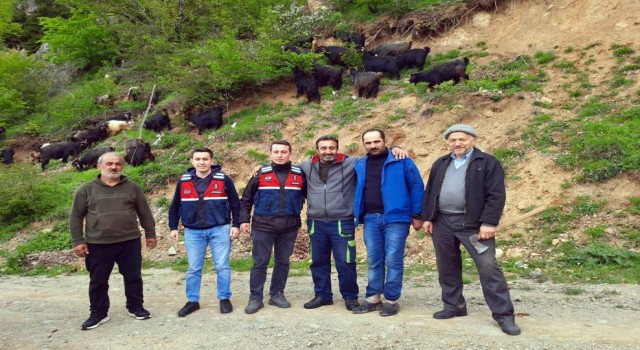Küçükbaş hayvanları kaybolan yaylacıların imdadına Jandarma yetişti