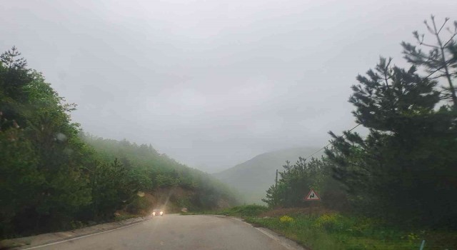 Küre Dağlarında yoğun sis: Görüş mesafesi 40 metreye kadar düştü