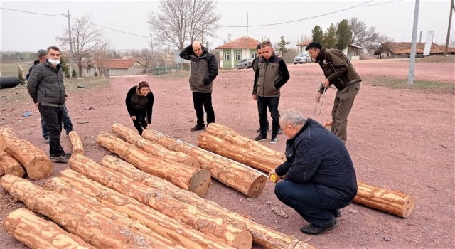 Kütahyada orman satış depolarında uygulamalı eğitim