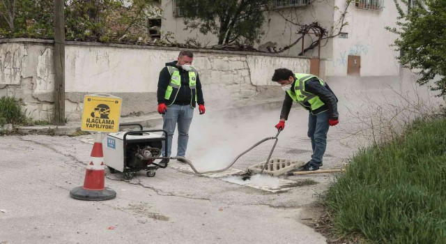 Kütahyada sivrisinek ve karasinek üremesi kontrol altına alınıyor