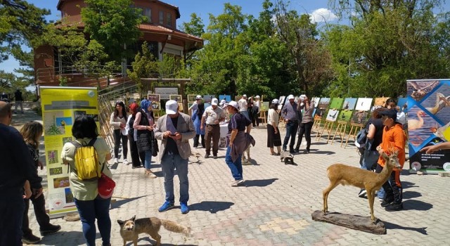 Kütahyada Uluslararası Biyolojik Çeşitlilik Günü etkinlikleri