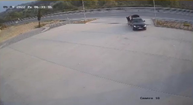 Lüks otomobille mazgalları çaldılar