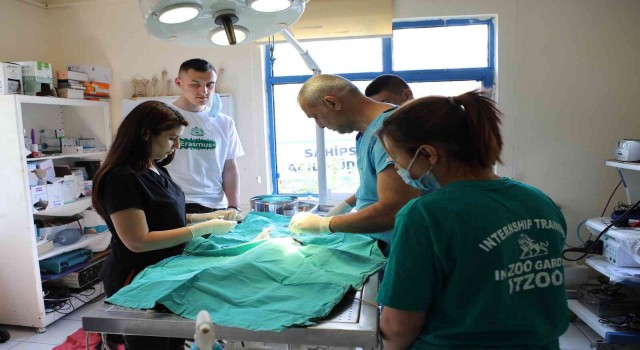Makedon öğrenciler Antalya Hayvanat Bahçesinde eğitim alıyor