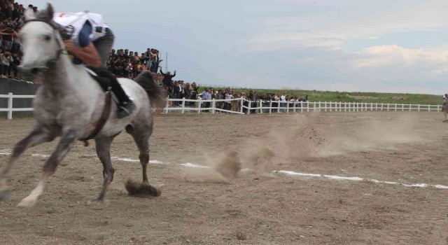 Malazgirtte 19 Mayıs etkinliğinde at yarışı yapıldı