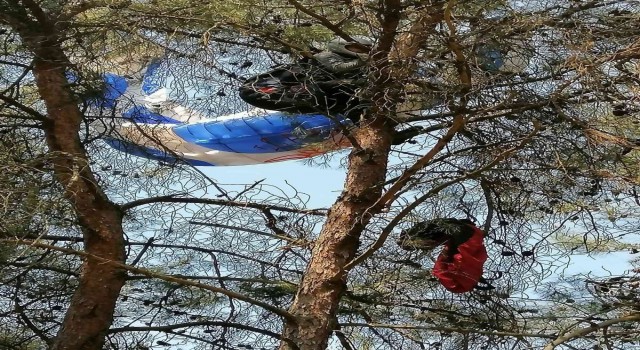 Manisada amatör paraşütçü ağaca asılı kaldı