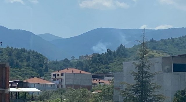 Manisada çıkan orman yangınında 1 hektar alan zarar gördü