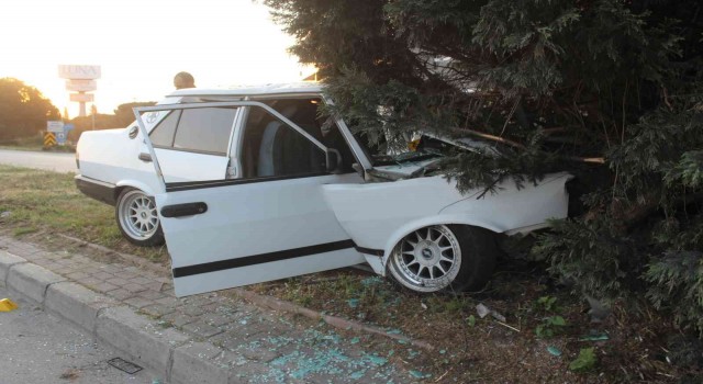 Manisada otomobil refüjdeki ağaca çarptı: 1 ölü, 1 ağır yaralı
