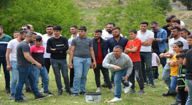 Mardinde birincisi düzenlenen bahar şenlikleri büyük bir çoşkuyla kutlandı