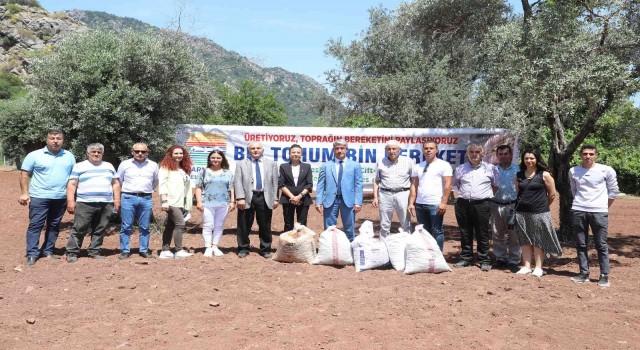 Marmariste yer fıstığında tohum takası gerçekleşti