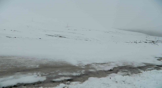 Mayıs ayı Posofa karla geldi