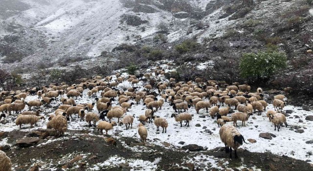 Mayıs ayında kar sürprizi