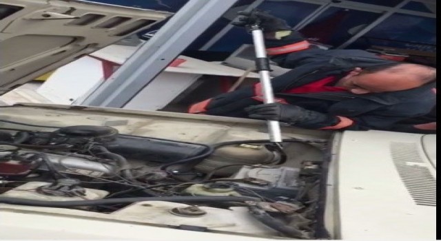 Mersinde araç motoruna giren yılanı itfaiye çıkardı