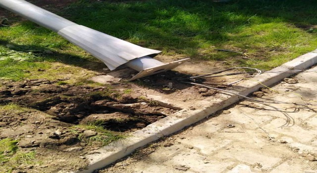 Mesire alanında kablo hırsızlığı yapan 3 şüpheli yakalandı
