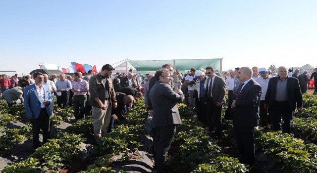 Mezopotamya Çilek Bahçesinde tarla günü etkinliği