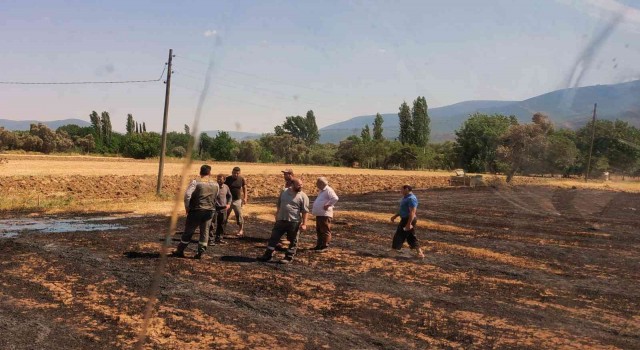 Milasta arazi yangını