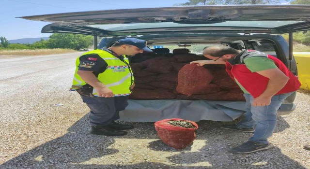 Muğlada 1,5 ton kaçak midye ele geçirildi