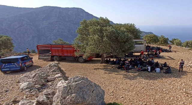 Muğlada 237 düzensiz göçmen yakalandı