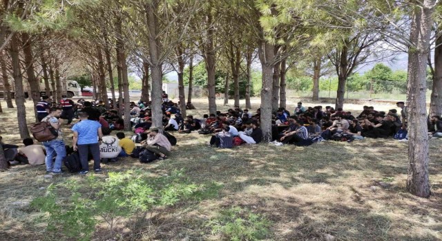 Muğlada 237 göçmenin yakalandığı operasyonda 3 tutuklama
