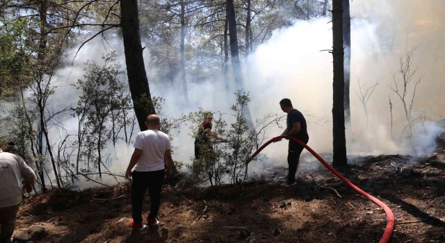 Muğlada orman yangını