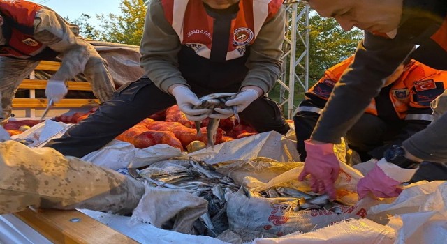 Muradiyede kaçak avlanmış 11 ton inci kefali ele geçirildi
