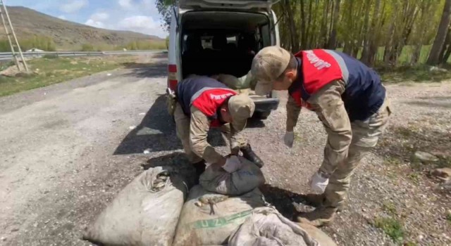 Muradiyede kaçak avlanmış 450 kilo balık ele geçirildi