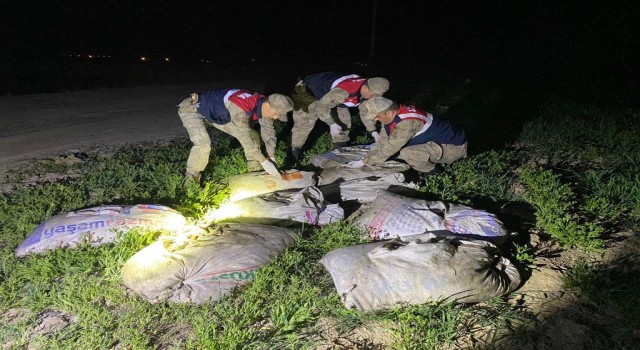 Muradiyede kaçak avlanmış 6,5 ton balık ele geçirildi