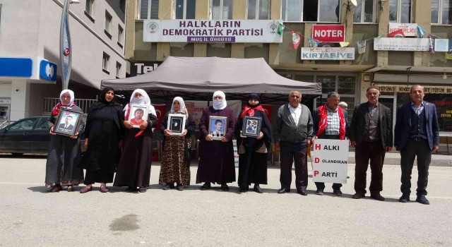 Muşta evlat nöbeti tutan ailelerin sayısı 35e yükseldi