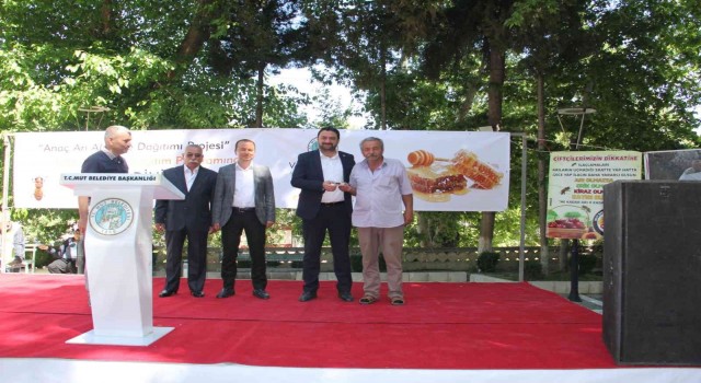 Mutta bal üreticilerine Kafkas ırkı anaç arı dağıtıldı