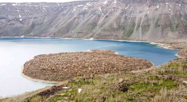 Nemrut Kalderasında geçen yıl yanan alanlar canlanmaya başladı