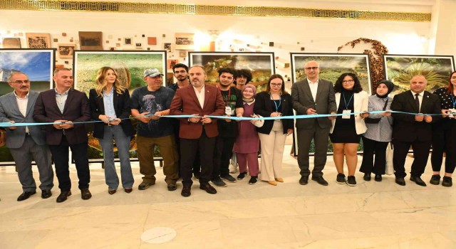 Nesli tehlikede olan pinalar Gemlik Körfezinde görüldü