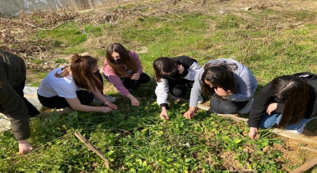 Öğrenciler ‘e-Twinning projesi ile endemik bitkileri tanıyarak yetiştiriyorlar