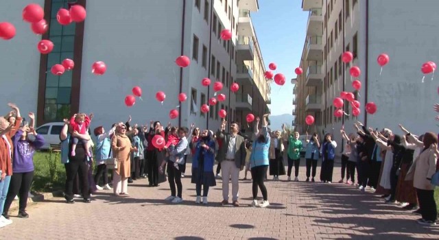 Öğrenciler gökyüzüne 103 balon bıraktı