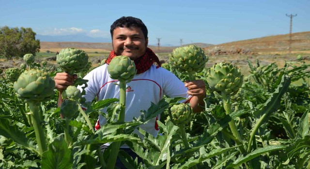 Öğretim üyesi memleketi Hatayda ilk defa yetiştirdi