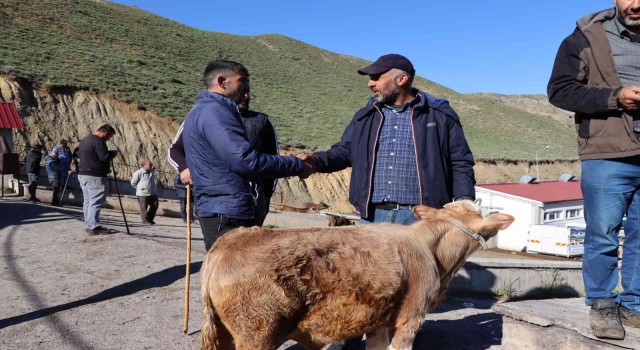 Oltu hayvan pazarında satışlar devam ediyor