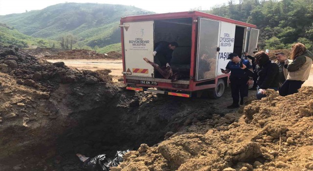 Orduda 2 ton kaçak et imha edildi