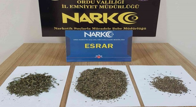 Orduda 20 uyuşturucu operasyonu: 7 tutuklama