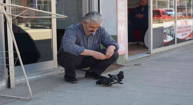 Orduda berberin güvercinlerle dostluğu