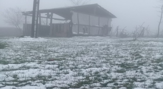 Orduda mayıs ayında kar yağışı