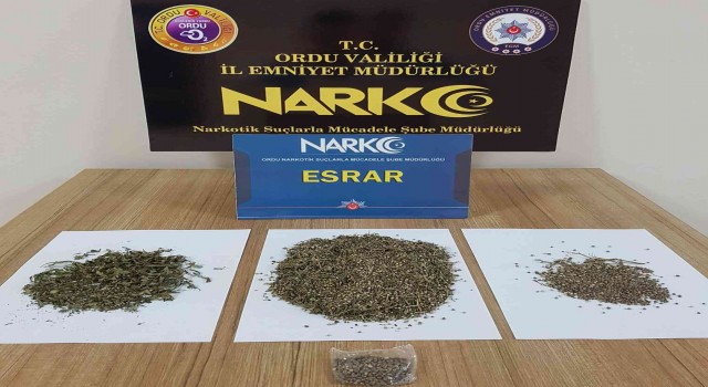 Orduda uyuşturucu operasyonunda 12 şüpheli gözaltına alındı